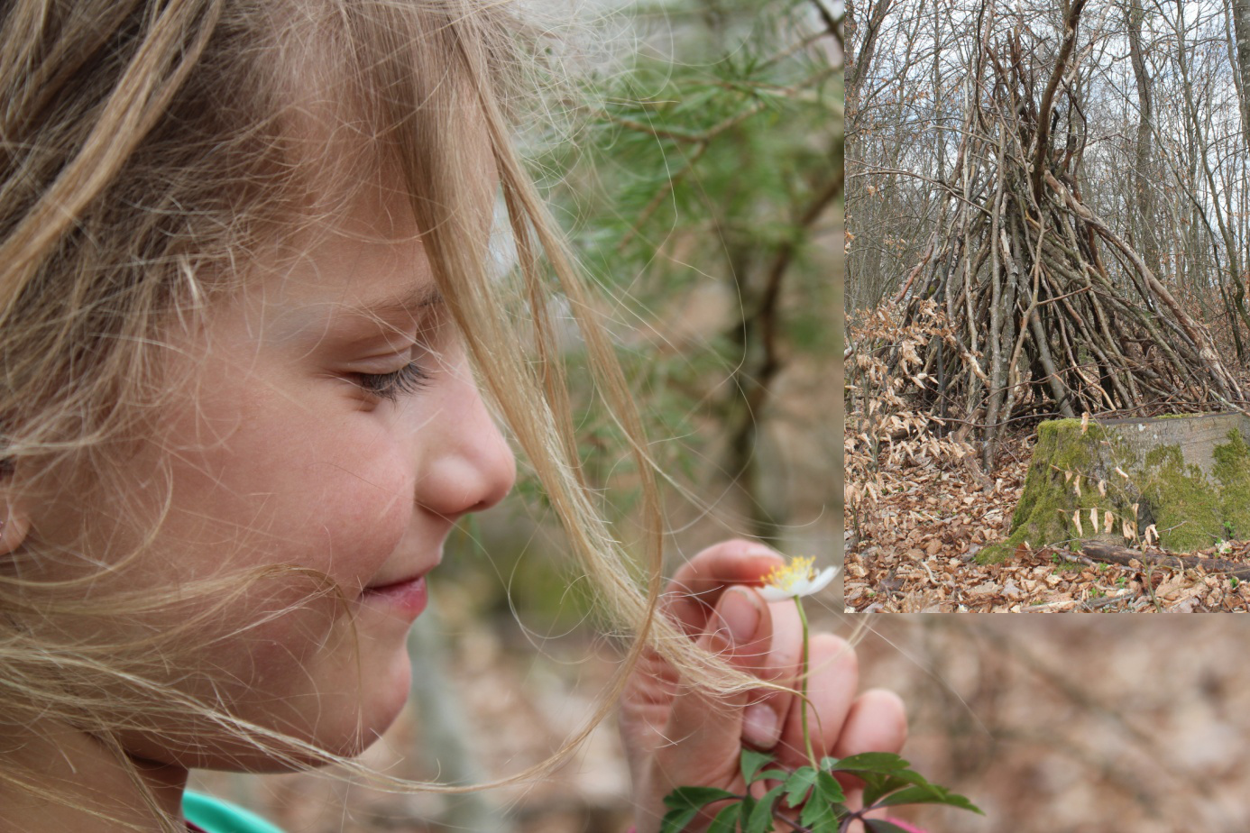 VisionWaldkindergarten